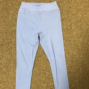 Whitney Simmons gymshark